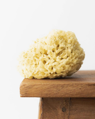 Hhuumm hypoallergenic and antibacterial natural yellow sea sponge 12.5cm O3H - 2
